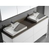 Sink & Top Options